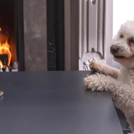 Brook Boutique 호텔 킬라니