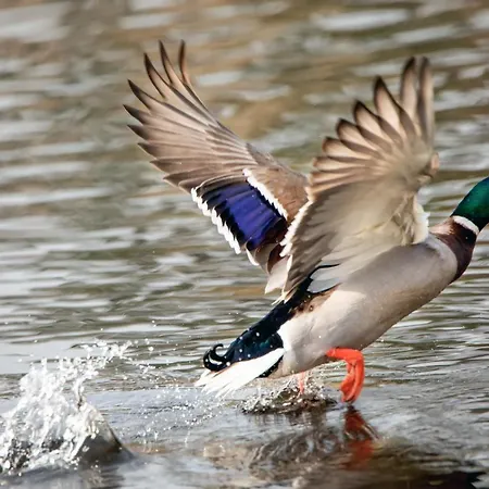 Brook Boutique 호텔