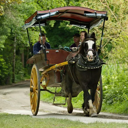 Brook Boutique 킬라니