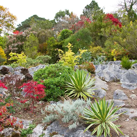 Hotel Brook Boutique 4*