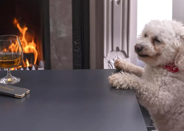 Brook Boutique Hotel Cill Airne