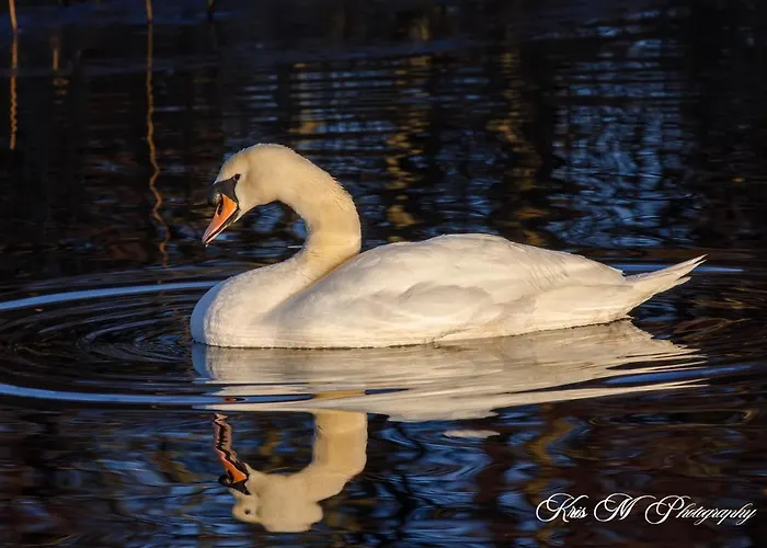 Hotel Brook Boutique Cill Airne