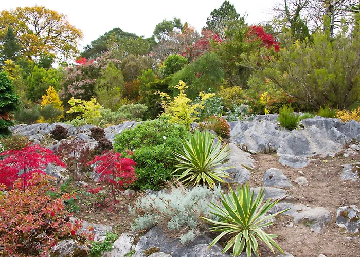 Hotel Brook Boutique 4*