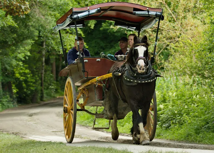 Brook Boutique Cill Airne