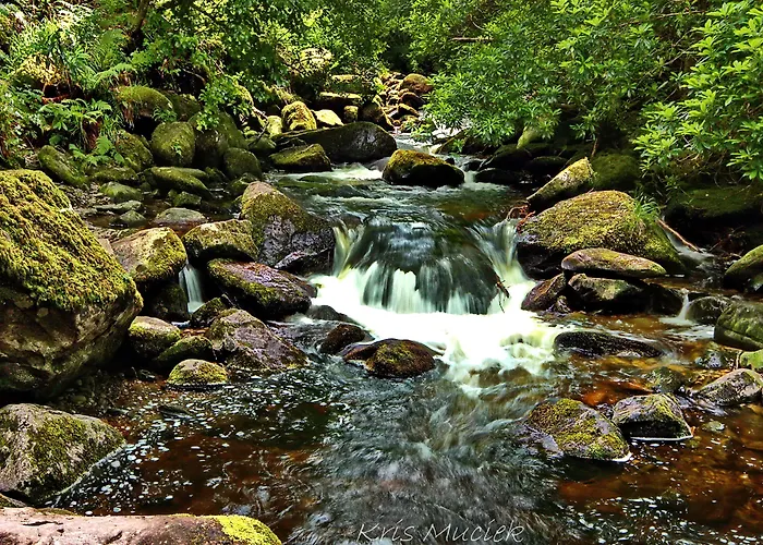 Brook Boutique 4* Cill Airne