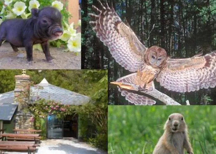 Hotel Brook Boutique Cill Airne